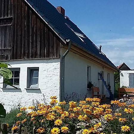 Отель Zum Storchennest Kemnitz  Экстерьер фото